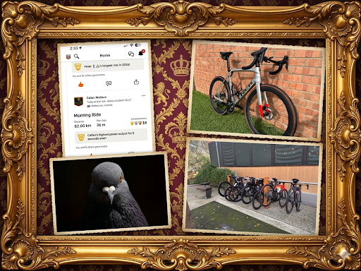 Excuses, 40km/h Turns, and a Peloton Pigeon